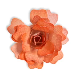 Flower, Rose 3-D